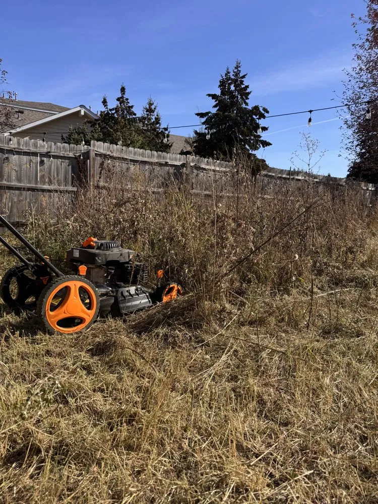 Top-rated yard cleanup service for residential properties in Coon Rapids, MN by Lawn Care Nature Home Improvement