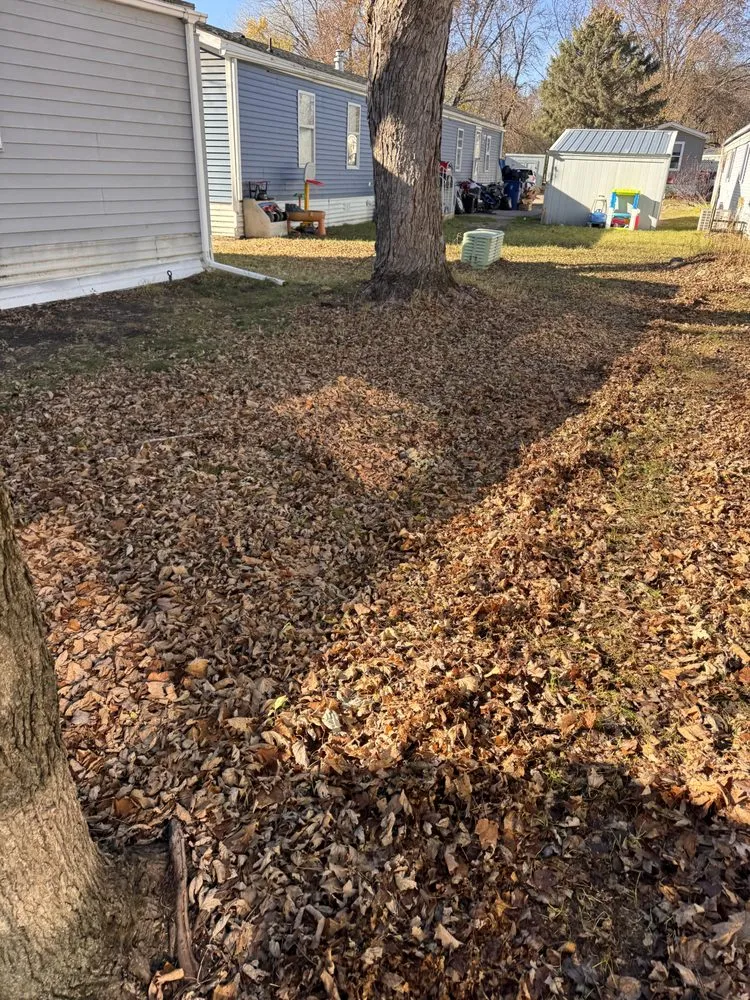 Top-rated landscape design experts serving Coon Rapids, MN - Lawn Care Nature Home Improvement