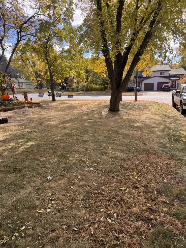 Expert lawn mowing service in Coon Rapids, MN - Lawn Care Nature Home Improvement