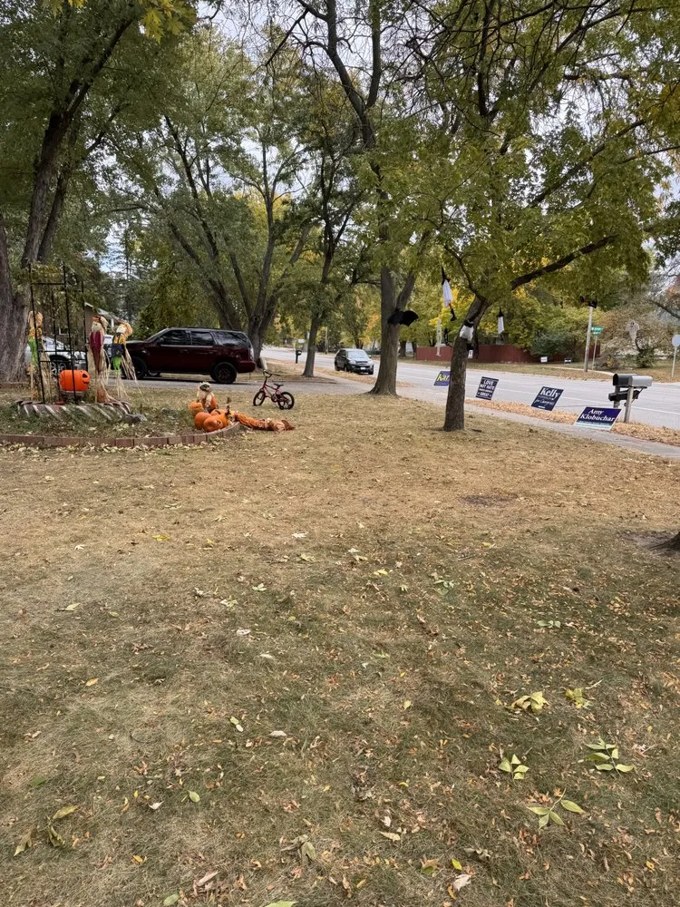 Affordable lawn mowing service in Coon Rapids, MN - Lawn Care Nature Home Improvement