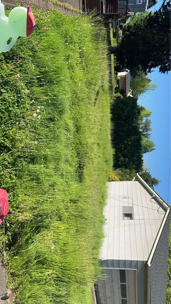 Professional lawn mowing service in Newberg, OR by Lawn Care