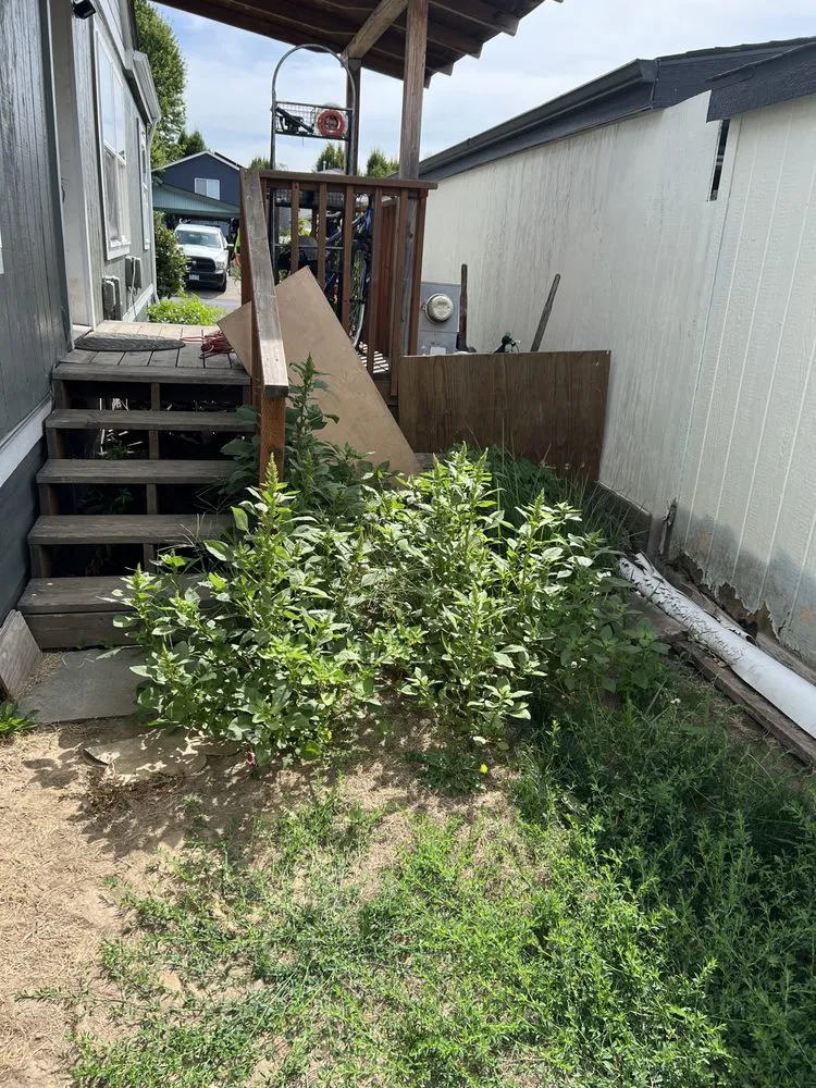 Reliable landscaping services in Newberg, OR - Lawn Care