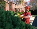 Top-rated outdoor landscaping in North Port, FL - Lawn Care
