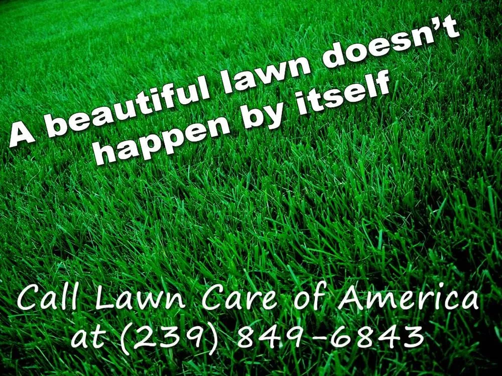 Top-rated landscape installation for beautiful yards in Cape Coral, FL by Lawn Care of America