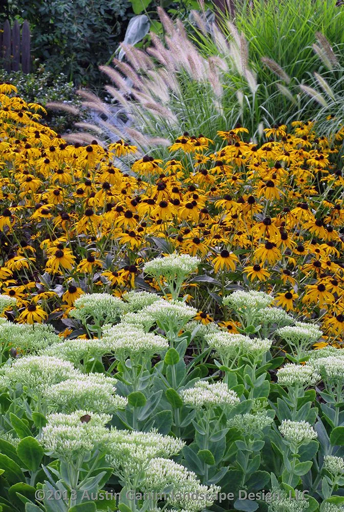 Affordable yard maintenance in Fairfield, CT - Lawn Care of Fairfield