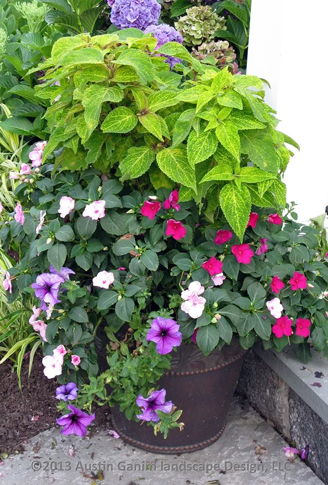 Expert lawn care service in Fairfield, CT - Lawn Care of Fairfield