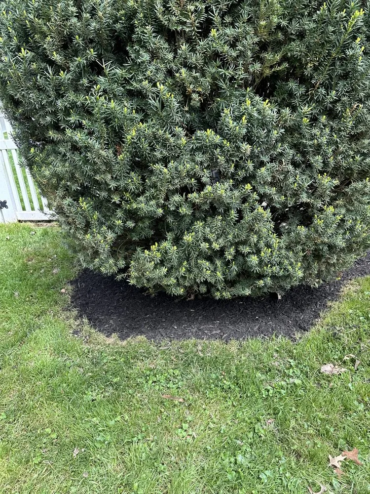 Top-rated yard maintenance in Otterbein, IN - Lawn Care