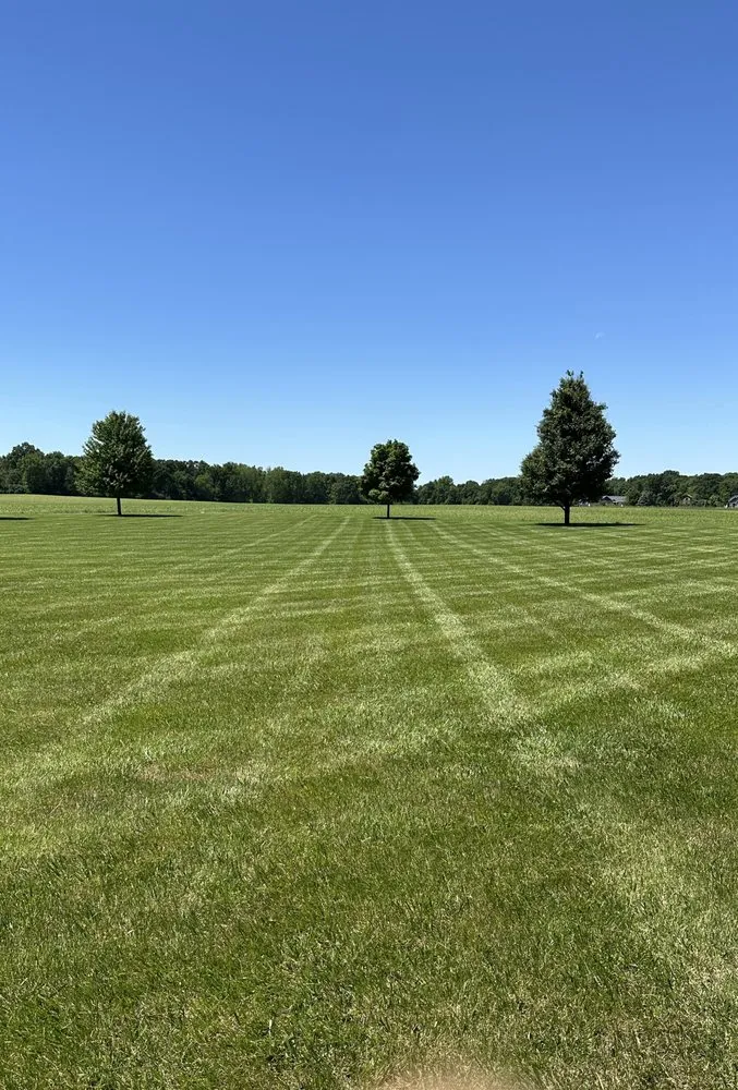 Expert yard cleanup service for beautiful yards in Otterbein, IN by Lawn Care