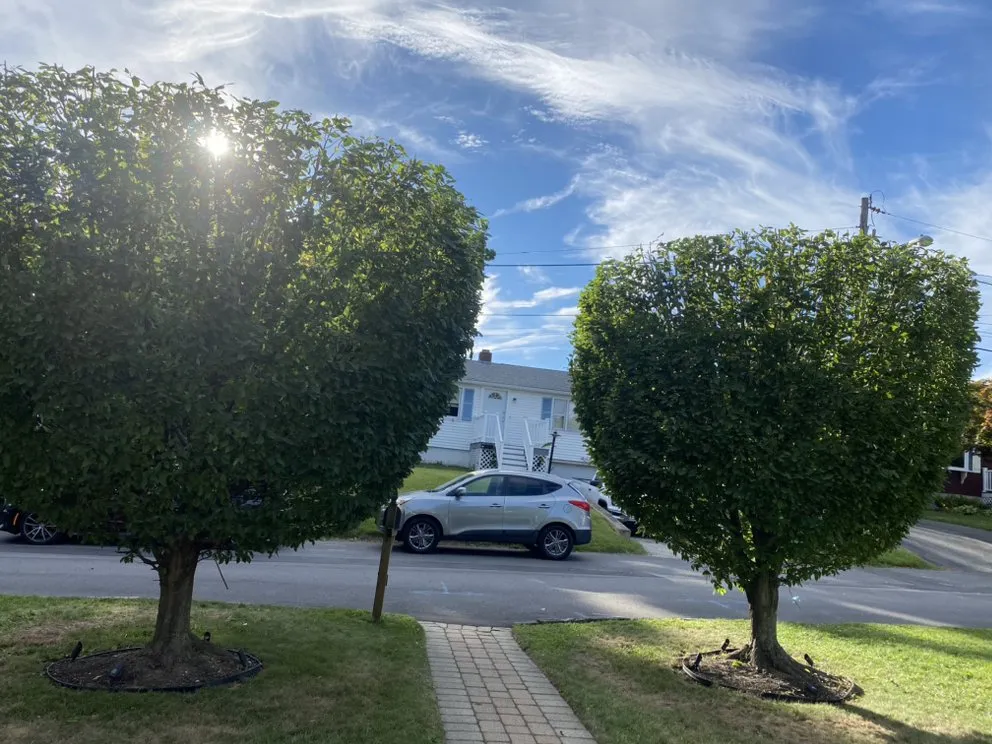 Top-rated garden landscaping in Providence, RI - Lawn Care Pachecos