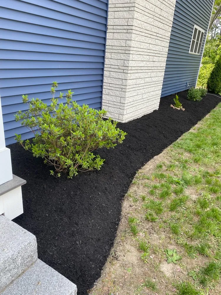 Local yard cleanup service in Providence, RI - Lawn Care Pachecos