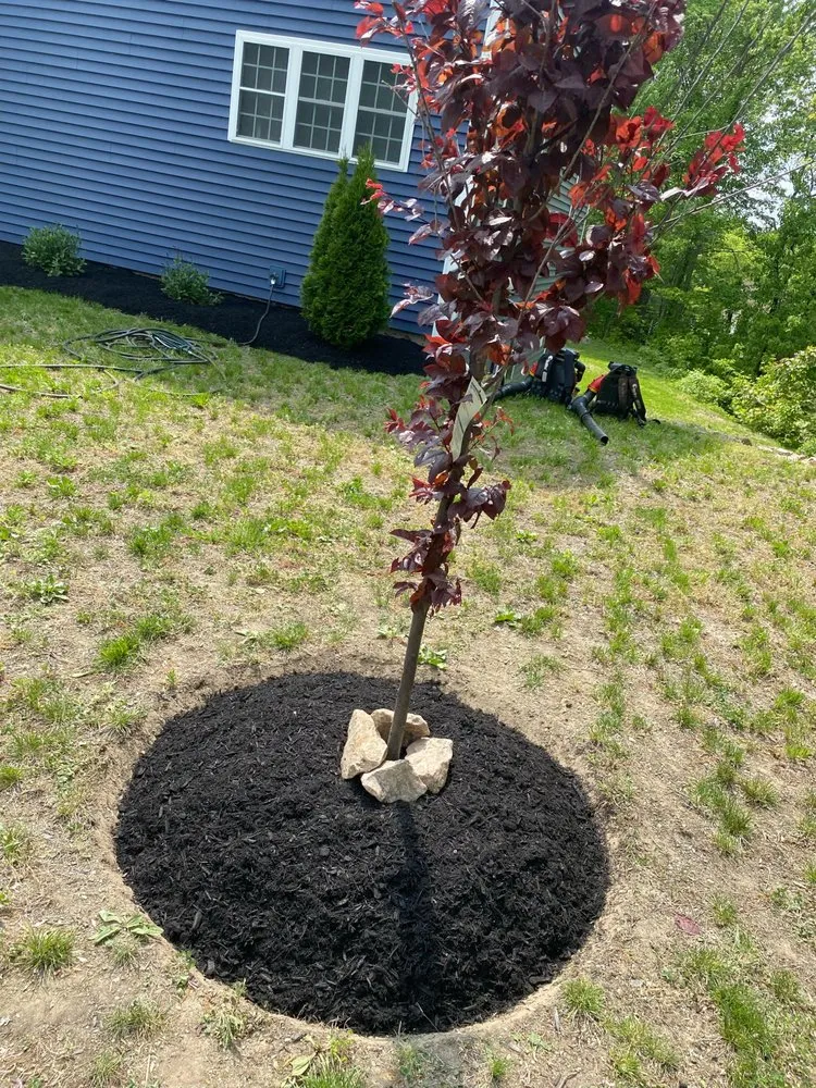 Expert lawn care service for residential properties across Providence, RI - Lawn Care Pachecos