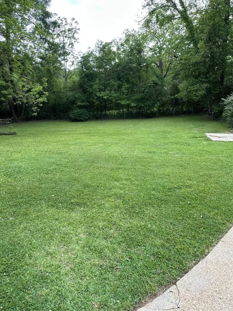 Trusted outdoor landscaping in Adger, AL - Lawn Care Plus