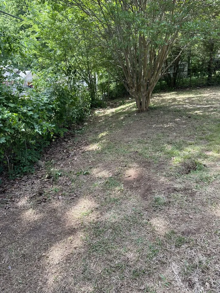 Top-rated landscape installation in Adger, AL - Lawn Care Plus