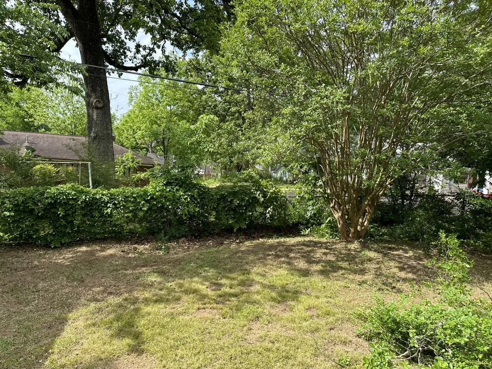 Affordable lawn care service in Adger, AL - Lawn Care Plus