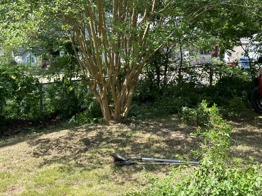Professional yard maintenance for outdoor upgrades across Adger, AL - Lawn Care Plus