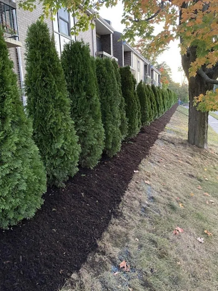 Top-rated garden landscaping in Boston, MA - Lawn Care Plus