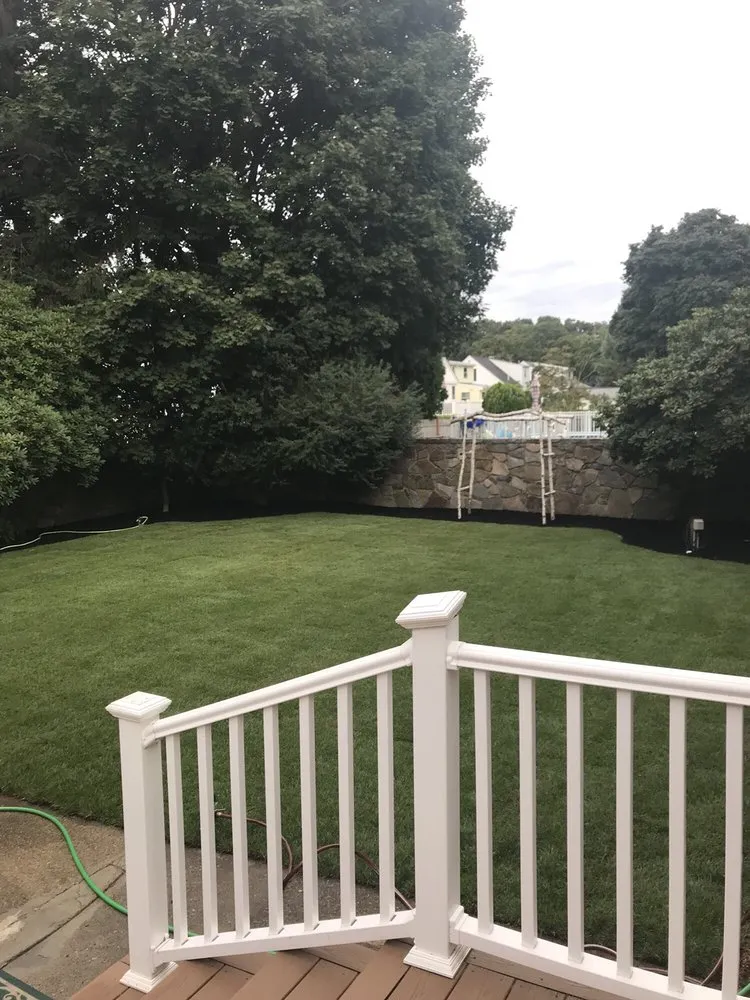 Expert yard cleanup service in Boston, MA by Lawn Care Plus