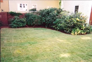 Local landscape design for year-round maintenance in Boston, MA by Lawn Care Plus