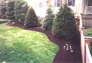 Affordable landscape installation experts serving Boston, MA - Lawn Care Plus