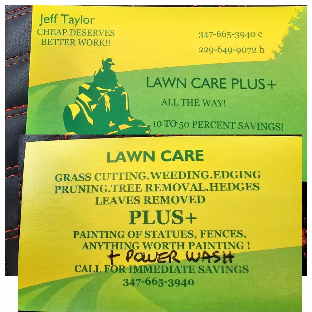 Affordable residential landscaping experts serving Buena Vista, GA - Lawn Care Plus
