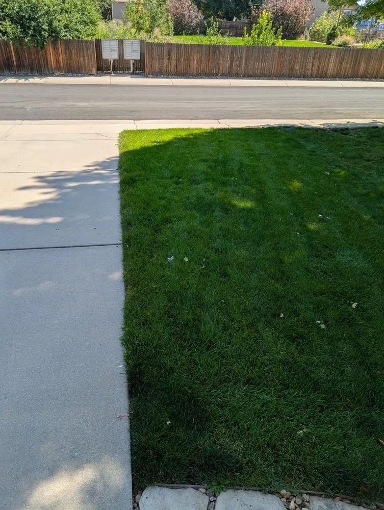Reliable lawn care service in Erie, CO - Lawn Care Plus