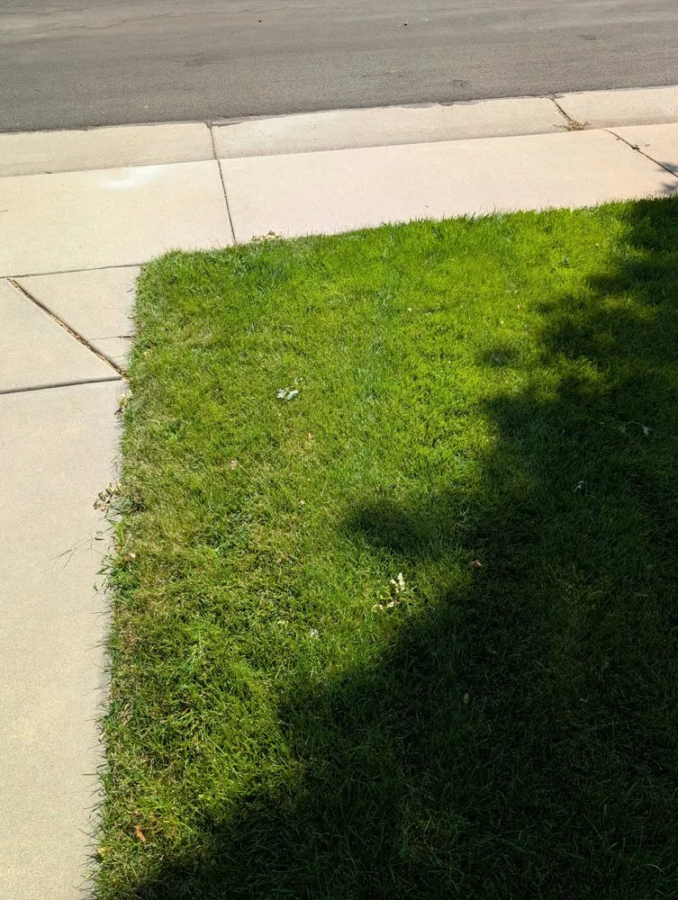 Expert yard maintenance in Erie, CO by Lawn Care Plus