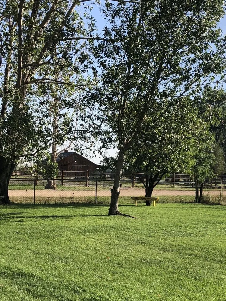 Trusted landscape design experts serving Erie, CO - Lawn Care Plus