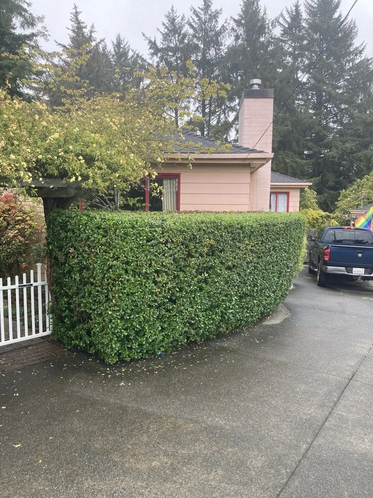 Affordable outdoor landscaping with custom design across Eureka, CA - Lawn Care Plus