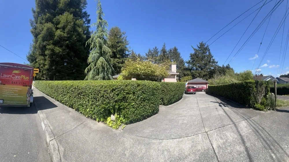 Expert lawn mowing service near you in Eureka, CA by Lawn Care Plus