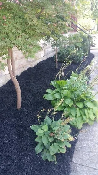 Professional landscaping services experts serving Hopkinsville, KY - Lawn Care Plus