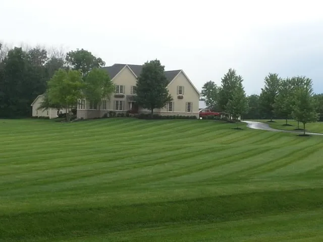 Affordable lawn care service experts serving Lewis Center, OH - Lawn Care Plus