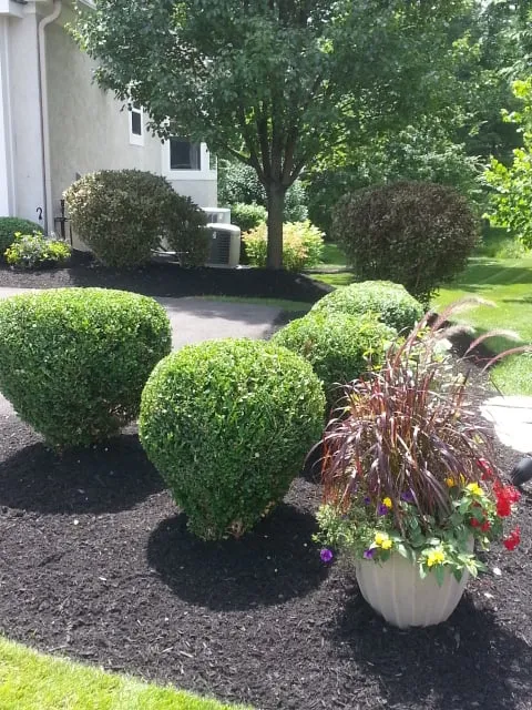 Affordable outdoor landscaping in Lewis Center, OH - Lawn Care Plus