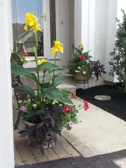 Trusted garden landscaping in Lewis Center, OH - Lawn Care Plus