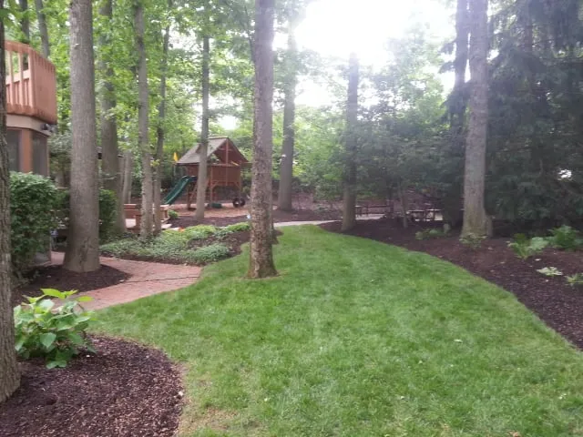 Local lawn mowing service experts serving Lewis Center, OH - Lawn Care Plus