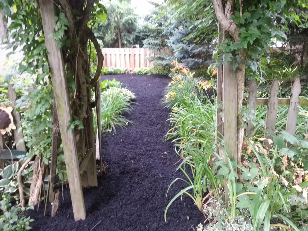 Top-rated yard cleanup service near you in Lewis Center, OH by Lawn Care Plus