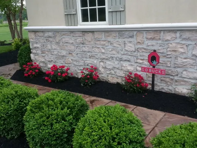 Professional yard cleanup service in Lewis Center, OH by Lawn Care Plus