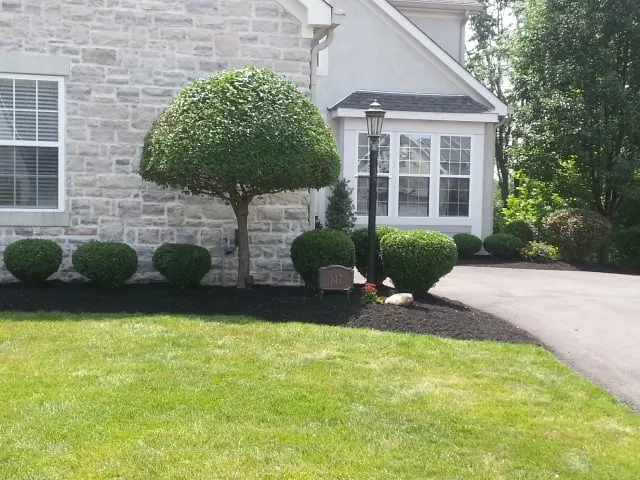 Local landscape installation with custom design in Lewis Center, OH by Lawn Care Plus