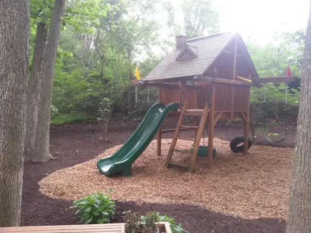 Trusted yard cleanup service for year-round maintenance across Lewis Center, OH - Lawn Care Plus