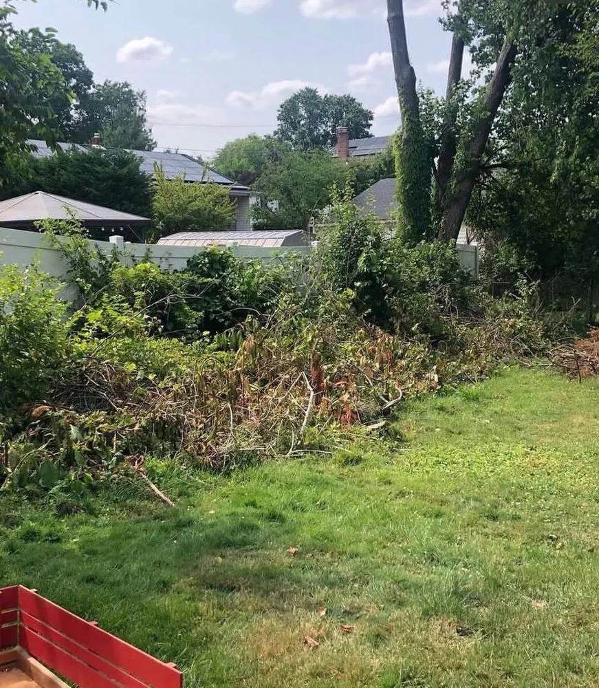 Trusted landscape installation experts serving Rockville, MD - Lawn Care Plus