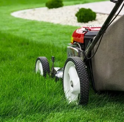 Lawn Care Pro