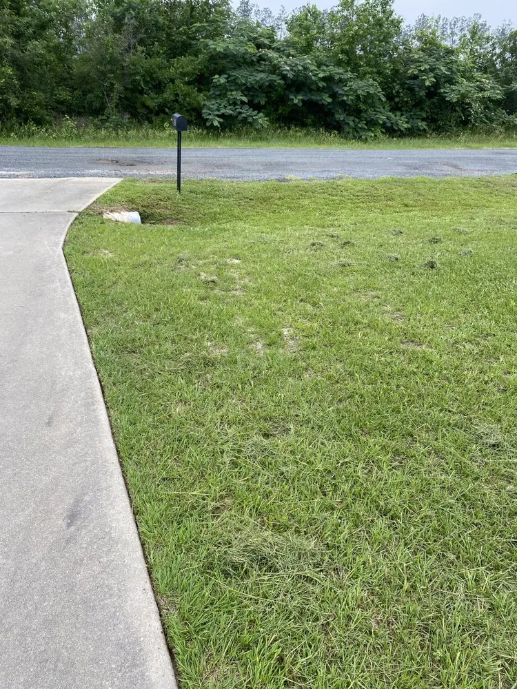 Affordable landscape installation experts serving Leesville, LA - Lawn Care Professionals of Vernon Parish