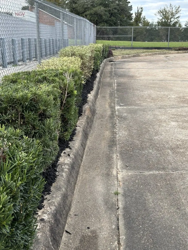 Expert yard cleanup service for residential properties in Leesville, LA by Lawn Care Professionals of Vernon Parish