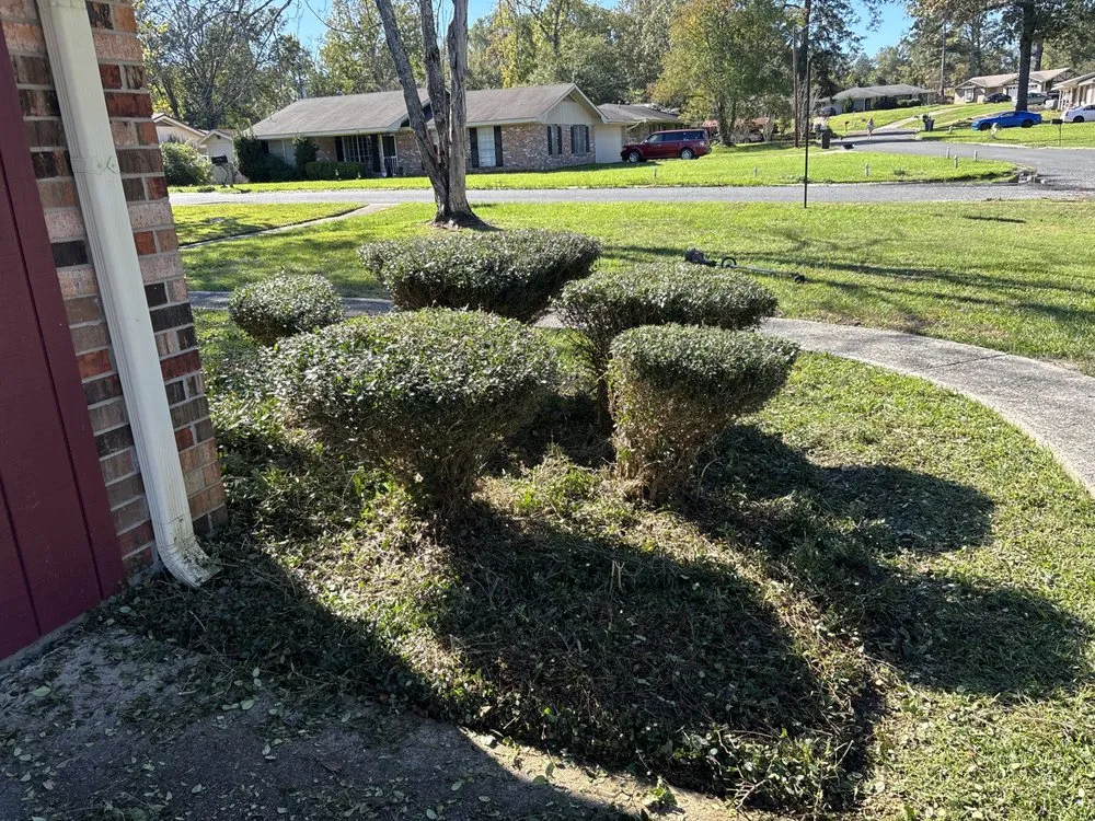 Affordable lawn mowing service in Leesville, LA by Lawn Care Professionals of Vernon Parish