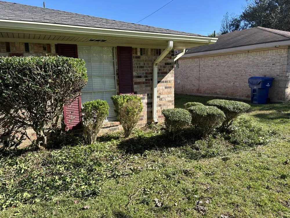 Reliable yard cleanup service experts serving Leesville, LA - Lawn Care Professionals of Vernon Parish