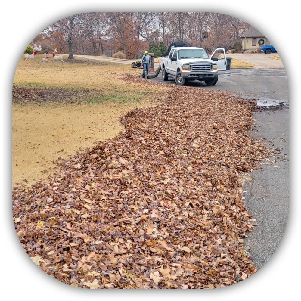 Affordable landscaping services for beautiful yards in Inola, OK by Lawn Care Pros