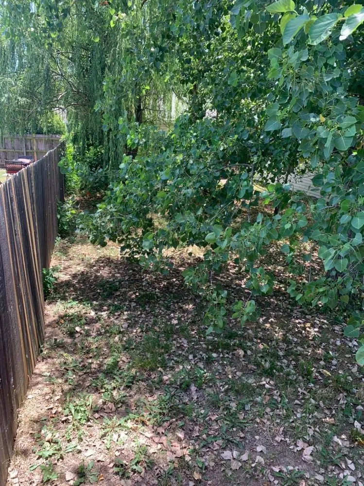 Affordable landscaping services for homes across Inola, OK - Lawn Care Pros