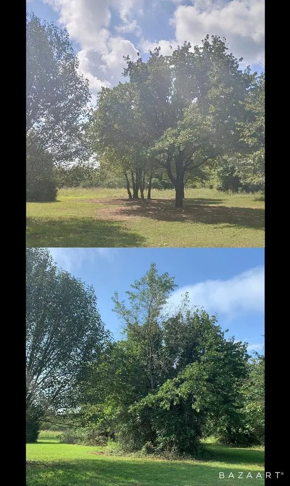 Top-rated garden landscaping in Inola, OK - Lawn Care Pros