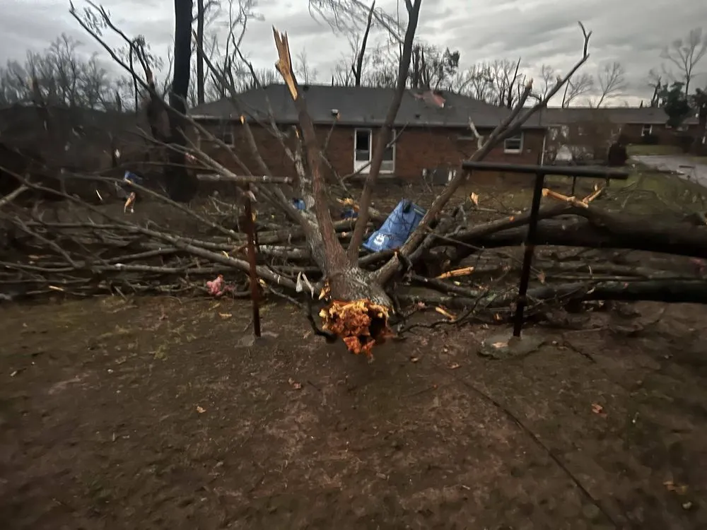 Custom outdoor landscaping for outdoor upgrades in Portland, TN by Lawn Care Pros