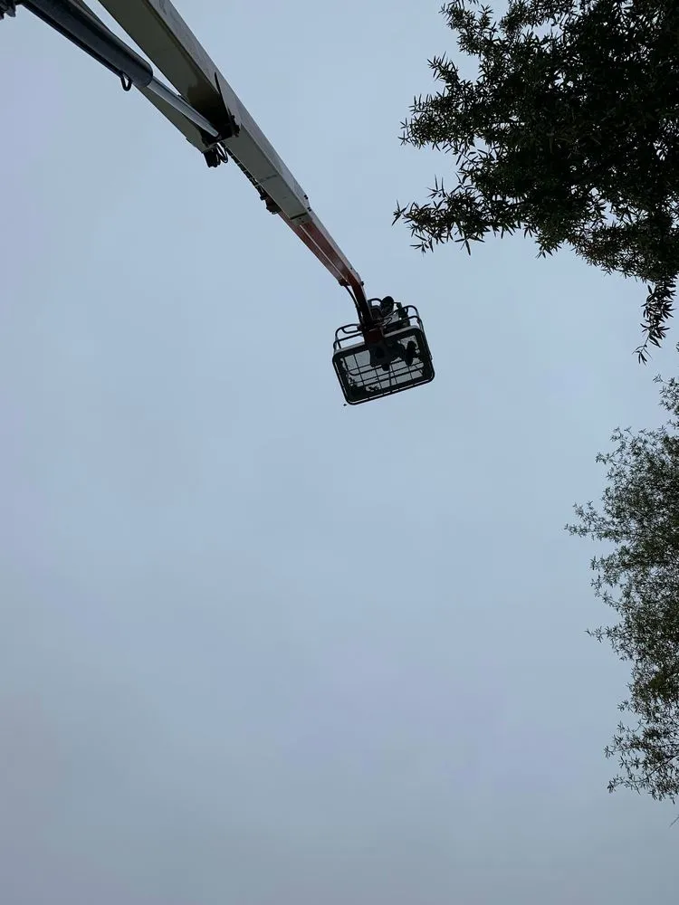 Trusted lawn mowing service for beautiful yards in Portland, TN by Lawn Care Pros