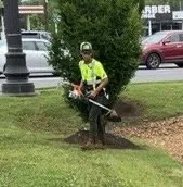 Reliable lawn care service experts serving Portland, TN - Lawn Care Pros